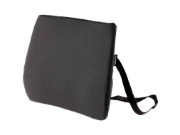 Rugkussen Fellowes Breyta Comfort zwart