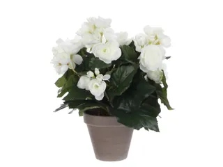 Kunstplant Mica Begonia wit in pot Stan grijs 25x30cm - 1