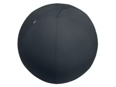 Leitz Ergo Actieve Zitbal anti-rol 75cm Donkergrijs