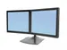 Monitorstandaard DS100 bureaustandaard voor 2 Schermen