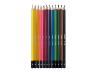Kleurpotloden Bruynzeel assorti blik à 12 stuks - 3