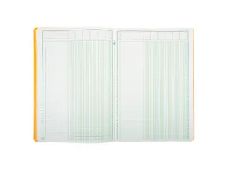 Piqure 29,7x21 uitg hoofd 6 kol80 bl - 5
