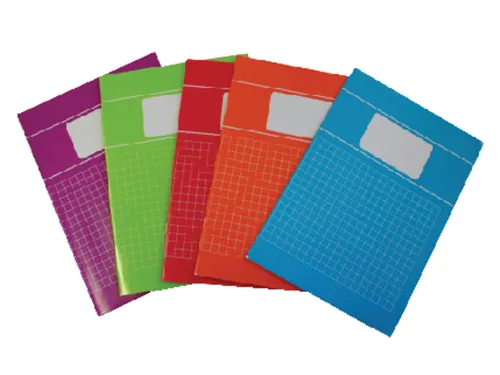 Schrift Verhaaktrend A4 80Blz Ruit 10Mm Assorti