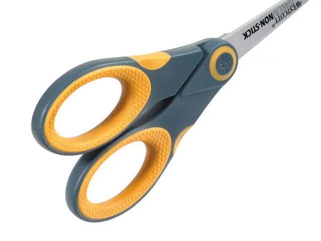 Schaar Westcott titanium 18cm non-stick