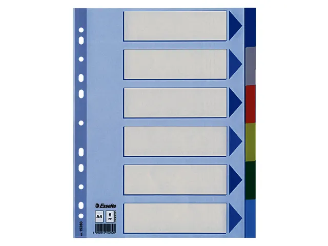 Tabbladen Esselte A4 11-Gaats Pp 6-Delig Assorti Index