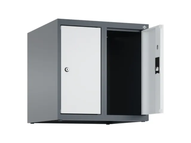 opzetkast,v. locker,2vak.,vak B 250mm,HxBxD 500x500x500mm,vleugeldeur