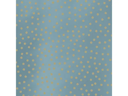 Toonbankrol kraft dots blauw 60 grams 70cm breed 250 meter