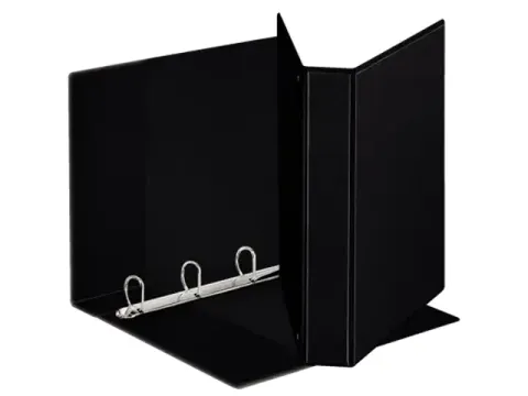 Presentatie Ringband Esselte 4 Rings A4 20Mm Zwart Voordeelbundel