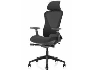 Ergonomische Bureaustoel 600 NEN-EN 1335 Zwart Mesh Met Hoofdsteun - 1