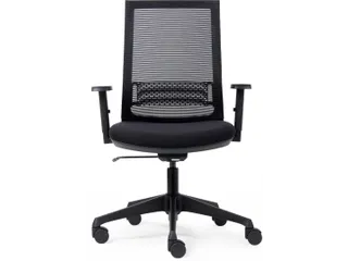 Bureaustoel Basic Ergo Net Zwart Lendensteun - 2