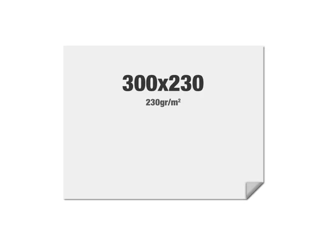 Print voor FlexFrame beurswand 300x230cm