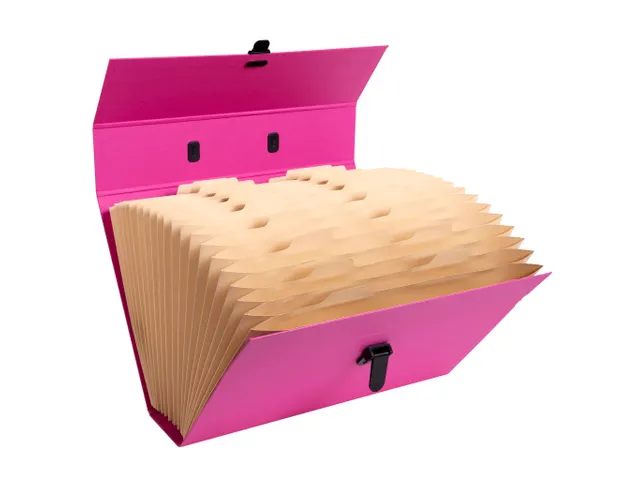 Sorteermap m/handvat 20 vak geass..