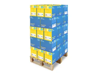 Kopieerpapier Datacopy A4 80 Gram Wit Pallet - 1