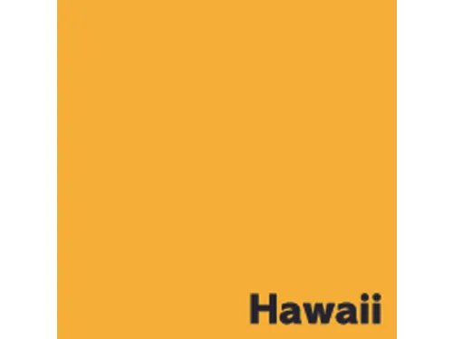 Offset papier Image Coloraction hawaï/goudgeel 120g 450x640mm FSC