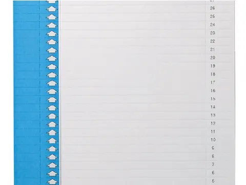 Ruiterstrook Elba Nr 0 297x6mm verticaal blauw 10 vel