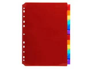 Tabbladen Pp Met Neutrale Tabs In Etikettenhouder 12 Tabs A4 - 3