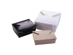 Lunchbox Biopack 222x164x89mm wit (160 stuks)