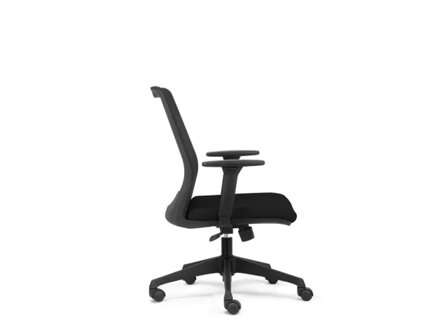 Bureaustoel Ecoline Zwart Netbespanning Lendensteun