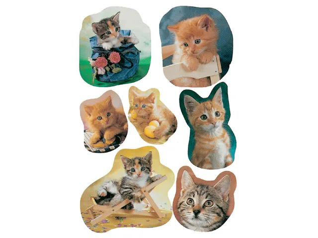 Sticker Etiket Herma 5747 Kittens 21 stuks