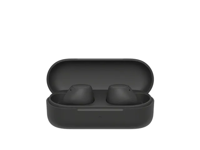 Oordopjes Sony WFC510 draadloos in ear zwart