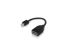 Lenovo 4X90L13971 Mini DisplayPort naar DisplayPort Adapter