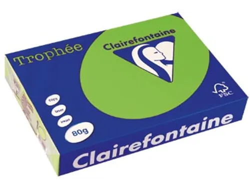 Trophée Intens gekleurd papier A4 80 gram 500vel Grasgroen