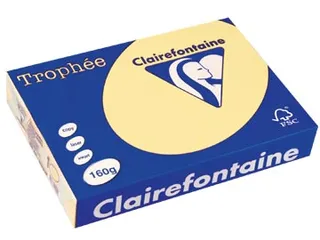 Trophée Pastel gekleurd papier A4 160 gram 250vel Kanariegeel - 2