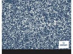 Tekenmap Canson Creative Studio Teens elastieksluiting 320x450mm assor