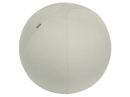 Leitz Ergo actieve zitbal anti-rol met stop-functie 65cm lichtgrijs