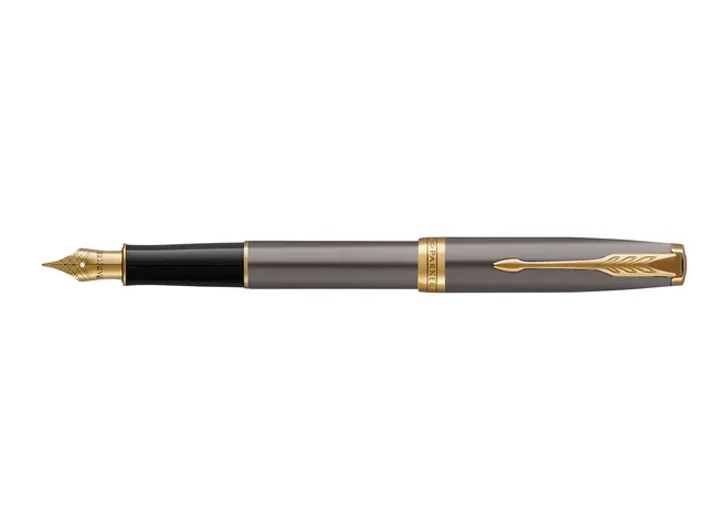 Stylo plume Parker Sonnet Collection Grey GT Fin