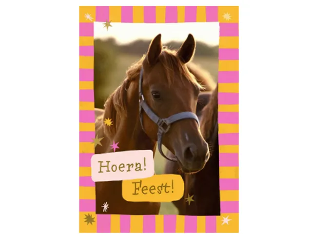 Wenskaart Hallmark uitnodiging paarden pak à 6 stuks