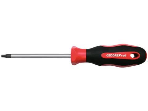 R38401215 2C schroevendraaier TX T15 100mm