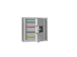 sleutelkast,80haak,HxBxD 430x460x130mm,romp RAL7035,front RAL7035 - 1