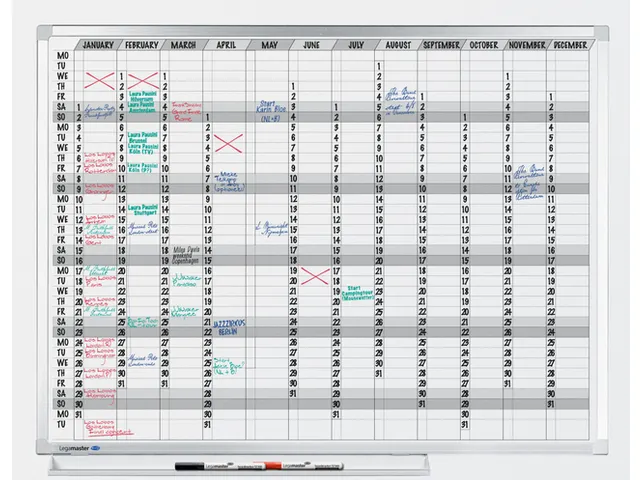 Tableau planning Legamaster Professional annuel horizontal 90x120cm