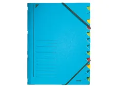 Sorteermap Leitz 3912 A4 12 vaks karton blauw