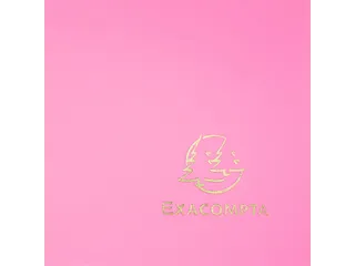 Elastomap 3 kleppen polypropyleen ondoorschijnend Eco A4 Fuchsia - 6