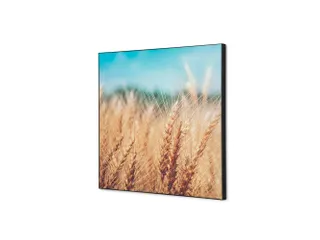 Wanddecoratie Textiel Set 40x40mm Graanveld - 1