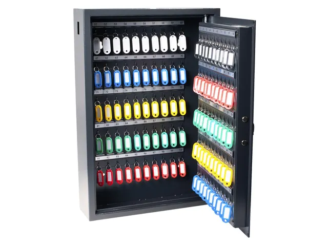 Sleutelkast Pavo high security 100 haken 550x400x120mm elektronisch