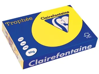 Trophée Intens Gekleurd Papier A4 80 gram 500vel Zonnegeel - 2