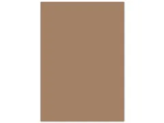 Folia Creakit fotokarton 50x70cm 300gr Reebruin 25 vel