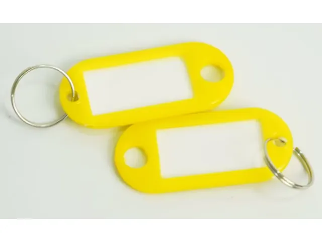 Porte-clés, ft 23 x 45 mm, couleurs assorties, paquet de 25 pièces