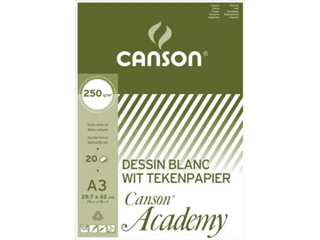 tekenpapier Academy 250 g 29,7 x 42 cm A3 20 vel