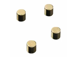 Glasbordmagneten Naga 10x10xmmcylinder set a 4st. goud - 1