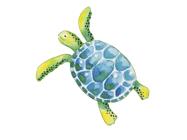 Aquarelpotlood Etui A 12 Stuks + Penseel