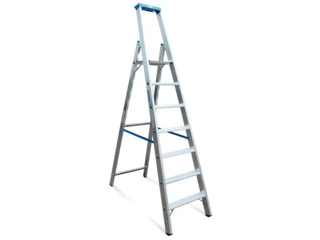 Ladder Aluminium Bordes H 1 65M 7Treden Incl. Bordes