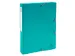 Klasseerdoos rug 40m m PP Forever Young