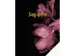 Schrift Classy Black A5 lijn