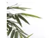 Kunstplant Mica Bamboe in plastic pot 150cm