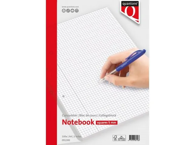 Cursusblok Quantore A4 ruit 5mm 100vel 80gram met kantlijn+