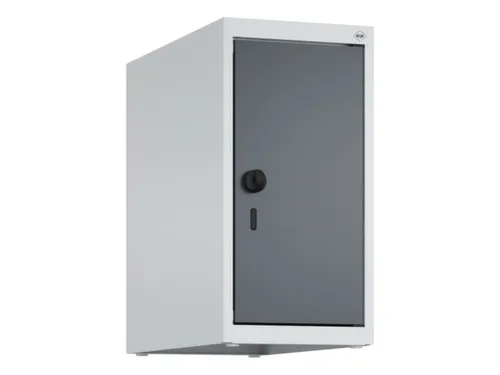 opzetkast,v. locker,1vak.,vak B 250mm,HxBxD 500x250x500mm,vleugeldeur